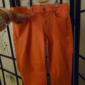 Gap 1969 Skinny Legging Jeans